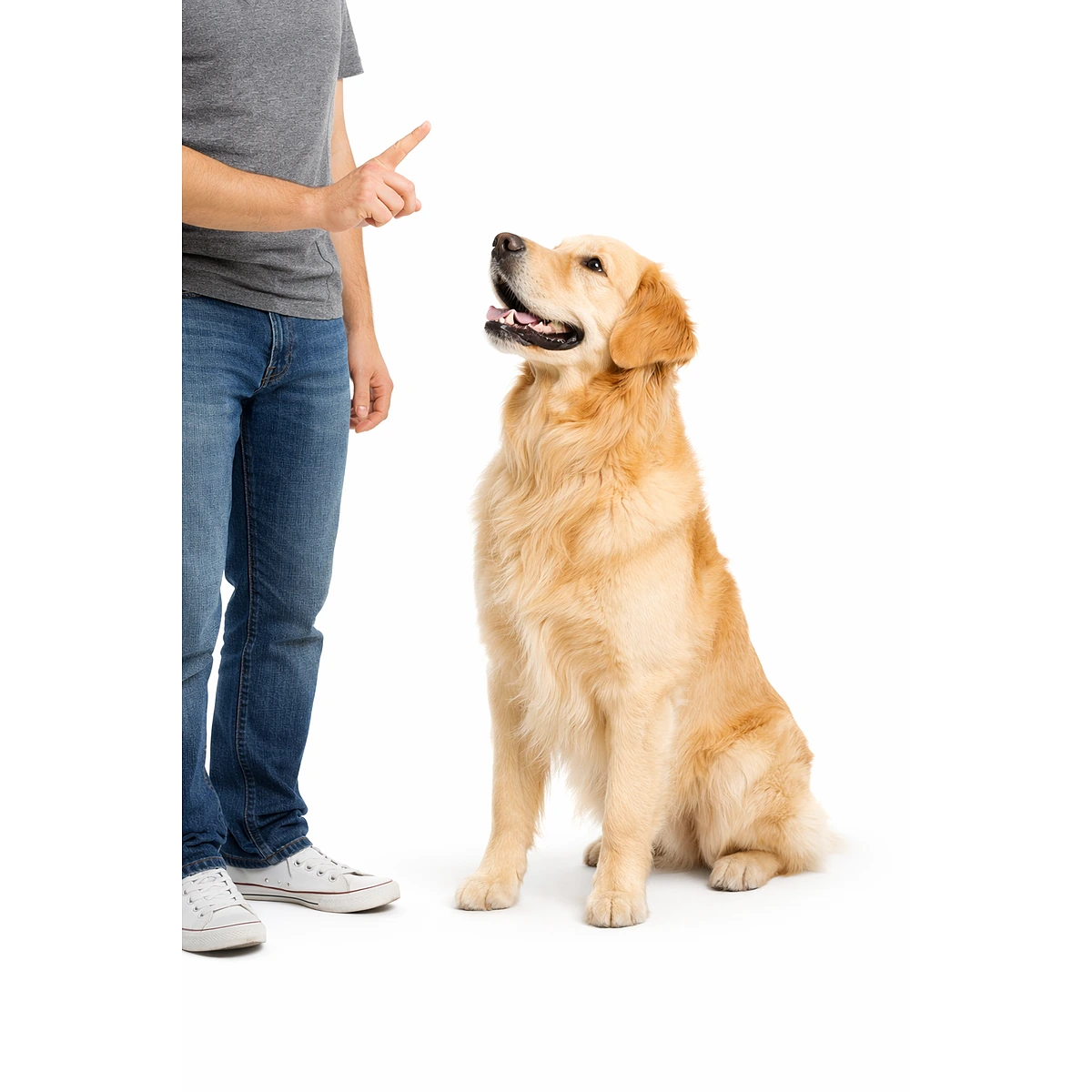 HundCharakter Redaktion